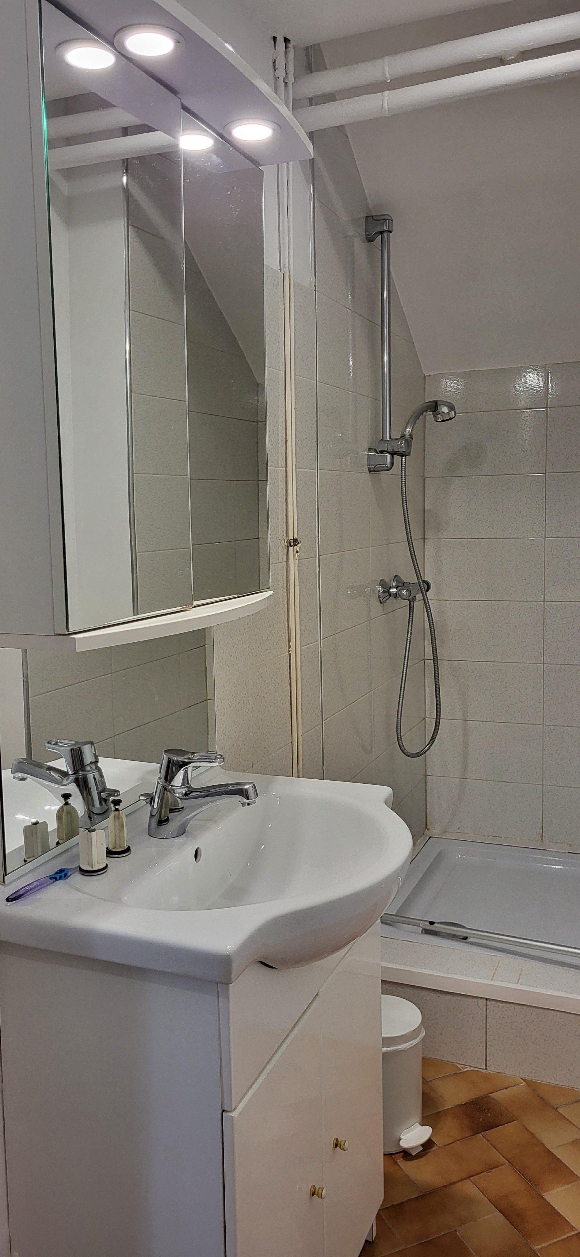 Gîte Pioch de Crapis à  Terre de Bancalié entre Albi et Réalmont -Salle de bain /d'eau