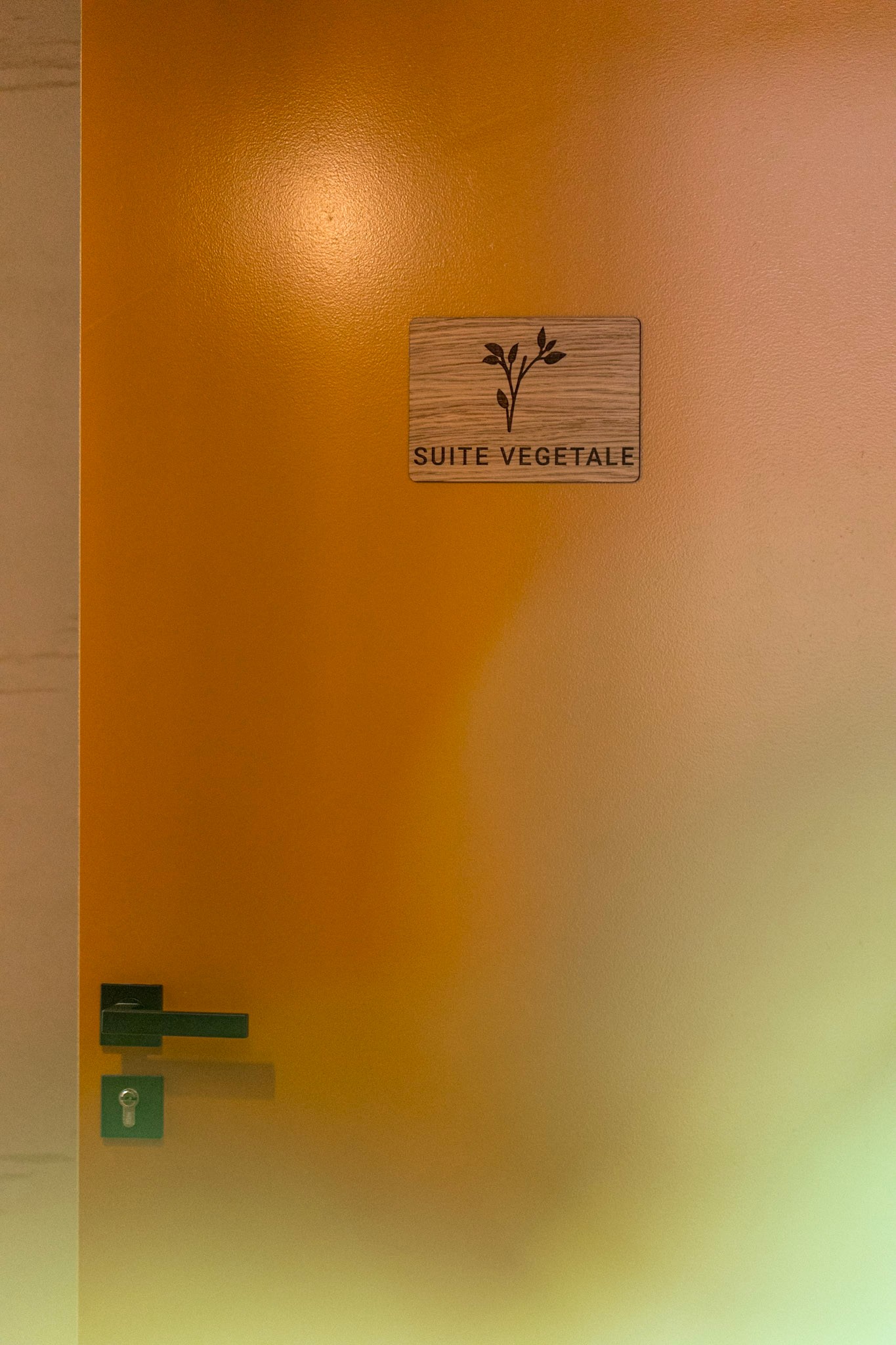 Photo n° 3 de la location