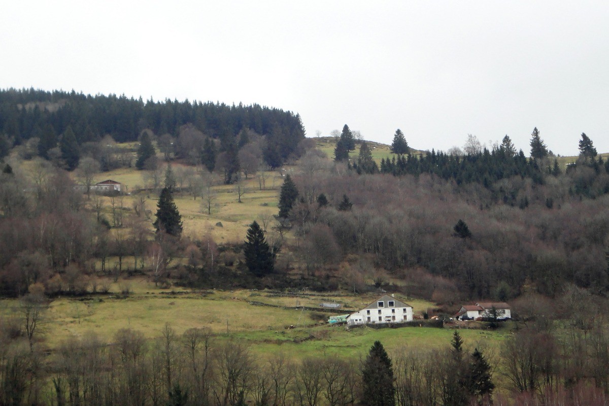 Vue sur la ferme - Chambre d'hôtes Point Mousse à la ferme sous les Hiez à Cornimont