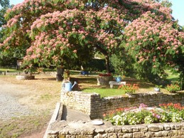 Image n° 4 de la location