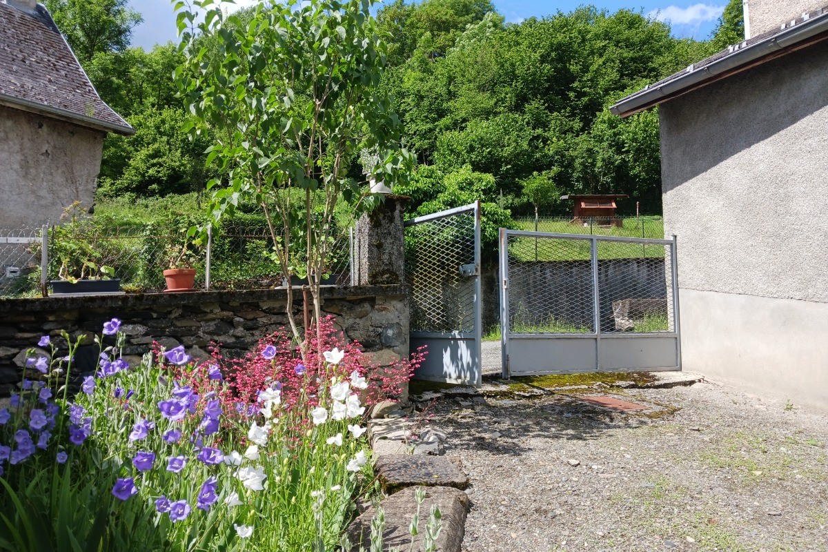 Jolie cour fleurie