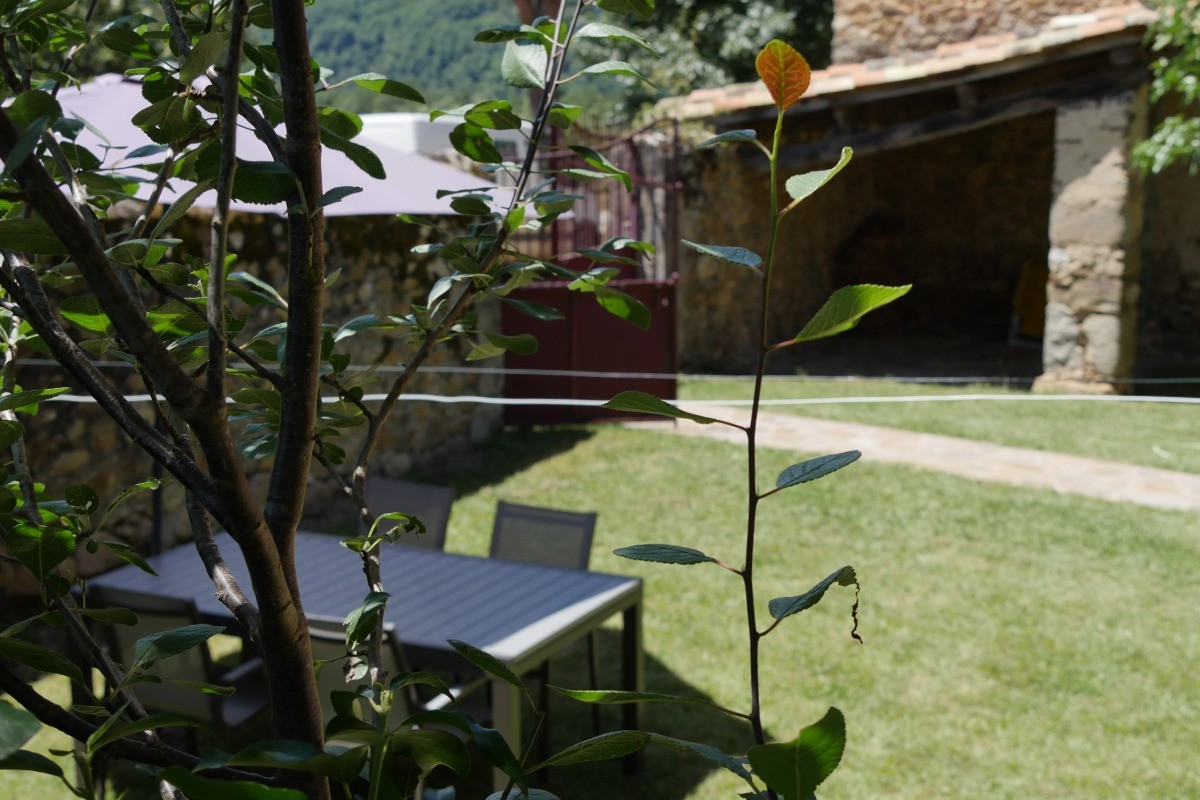 cour fermée ombragée, salons de jardins, plancha, barbecue