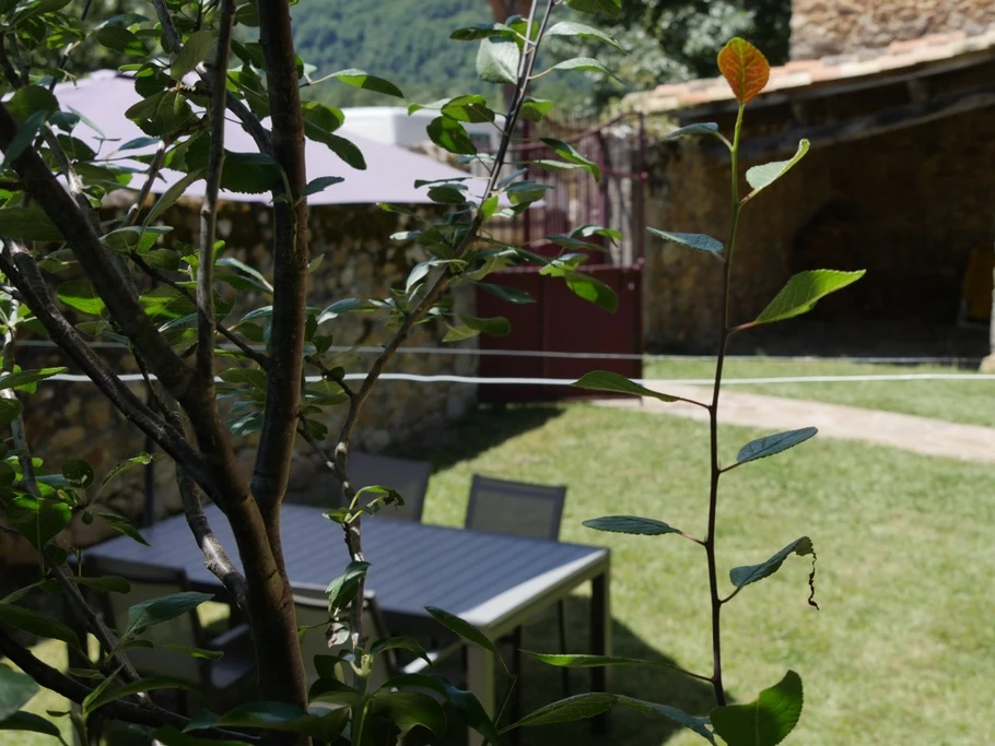 cour fermée ombragée, salons de jardins, plancha, barbecue