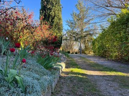 Image n° 3 de la location
