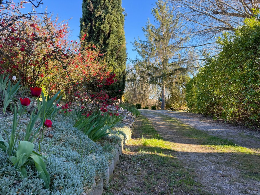 Photo n° 3 of the location