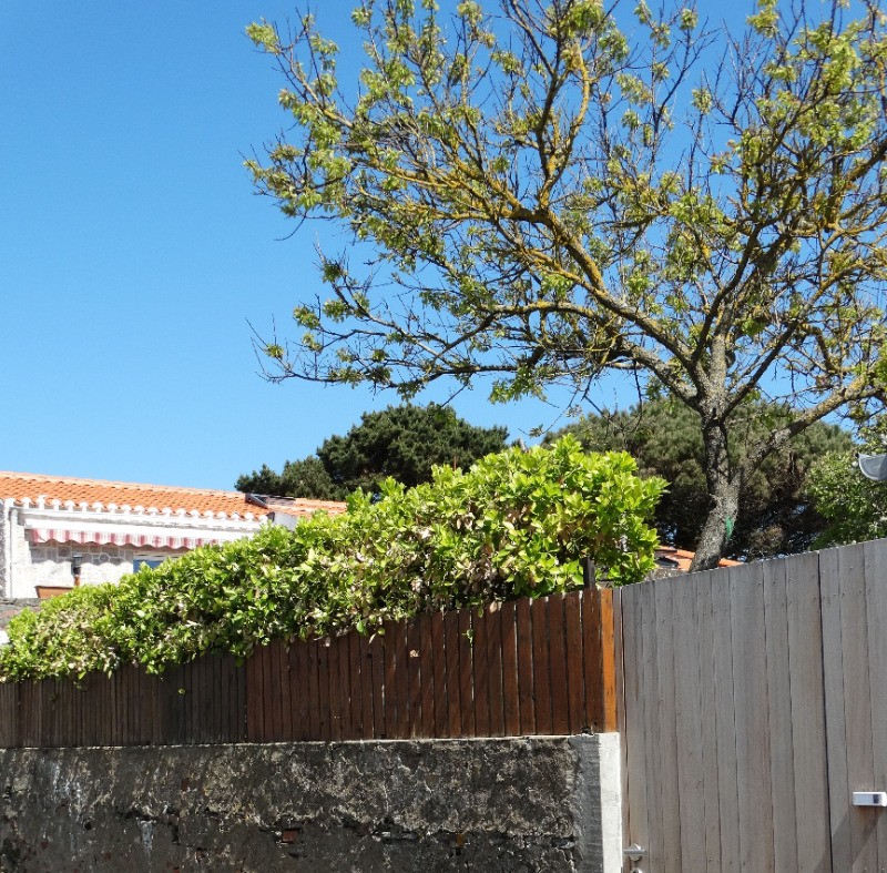 Photo n° 18 de la location