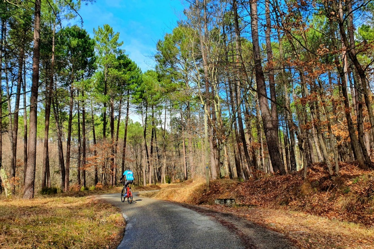 Vélo / VTT