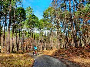 Vélo / VTT