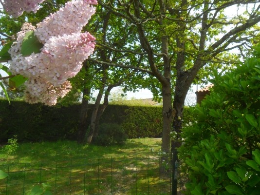 Photo n° 10 de la location