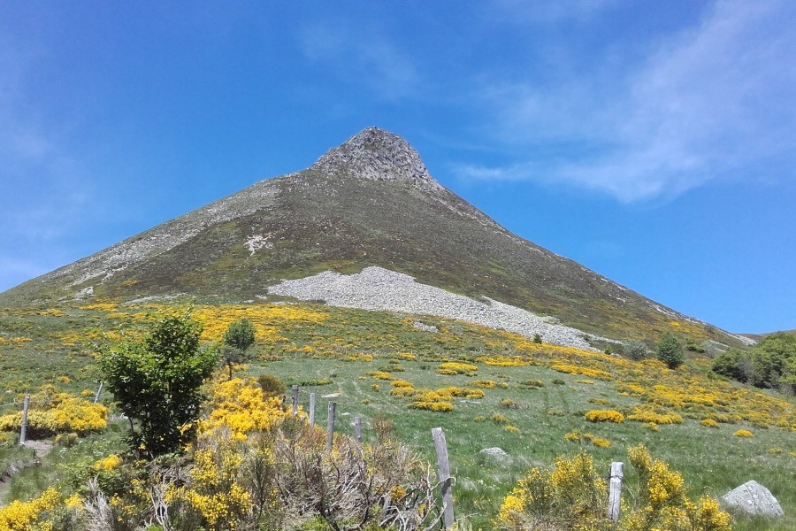 marie-christine.chastang@orange.fr