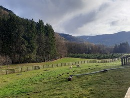 EXTERIEUR - Gîte familial Scaravella, St Maurice sur Moselle, Rouge Gazon - Vosges, Ballon d'Alsace, Naure, Calme, Famille