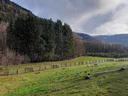 EXTERIEUR - Gîte familial Scaravella, St Maurice sur Moselle, Rouge Gazon - Vosges, Ballon d'Alsace, Naure, Calme, Famille
