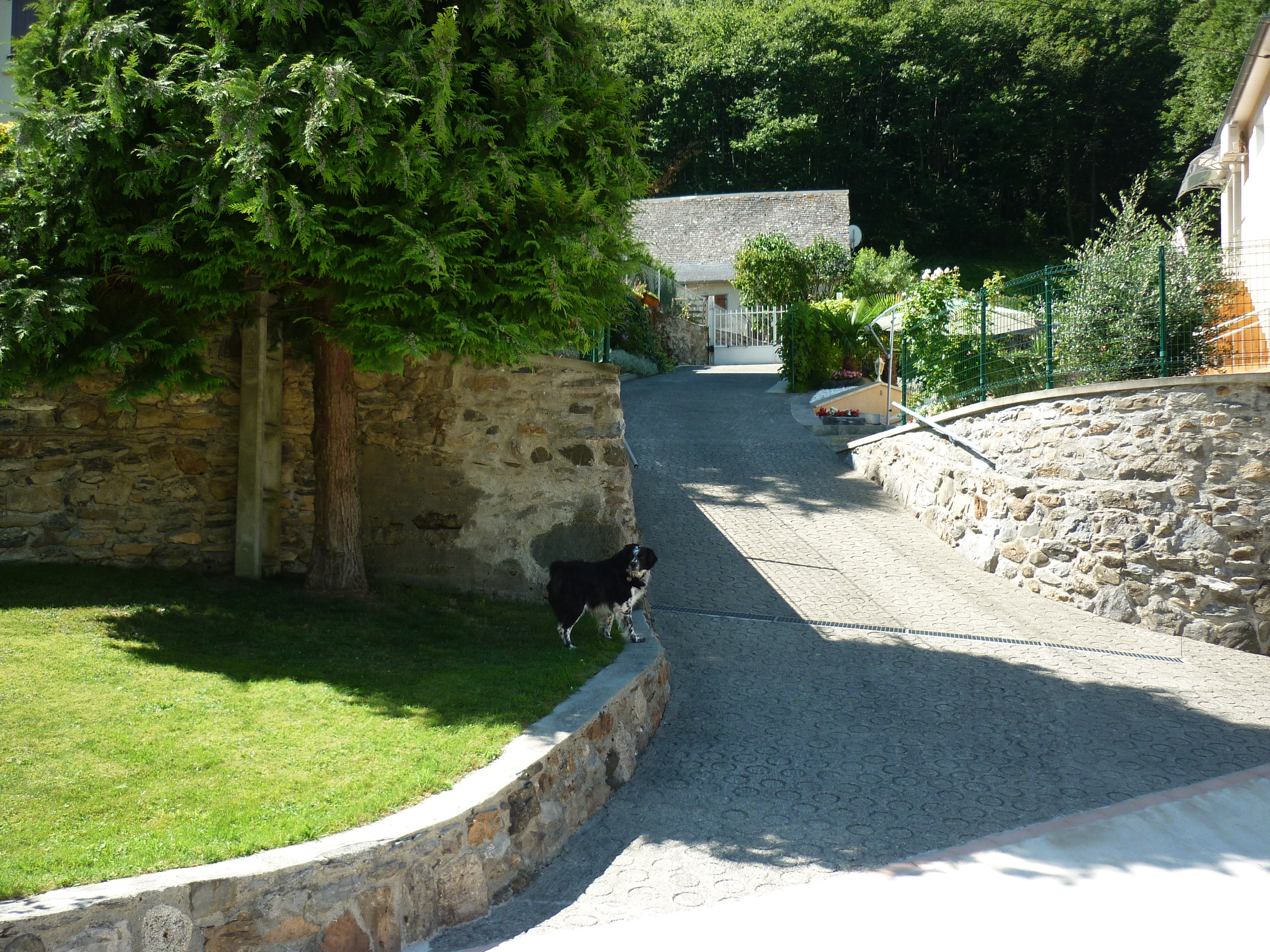 Photo n° 15 de la location