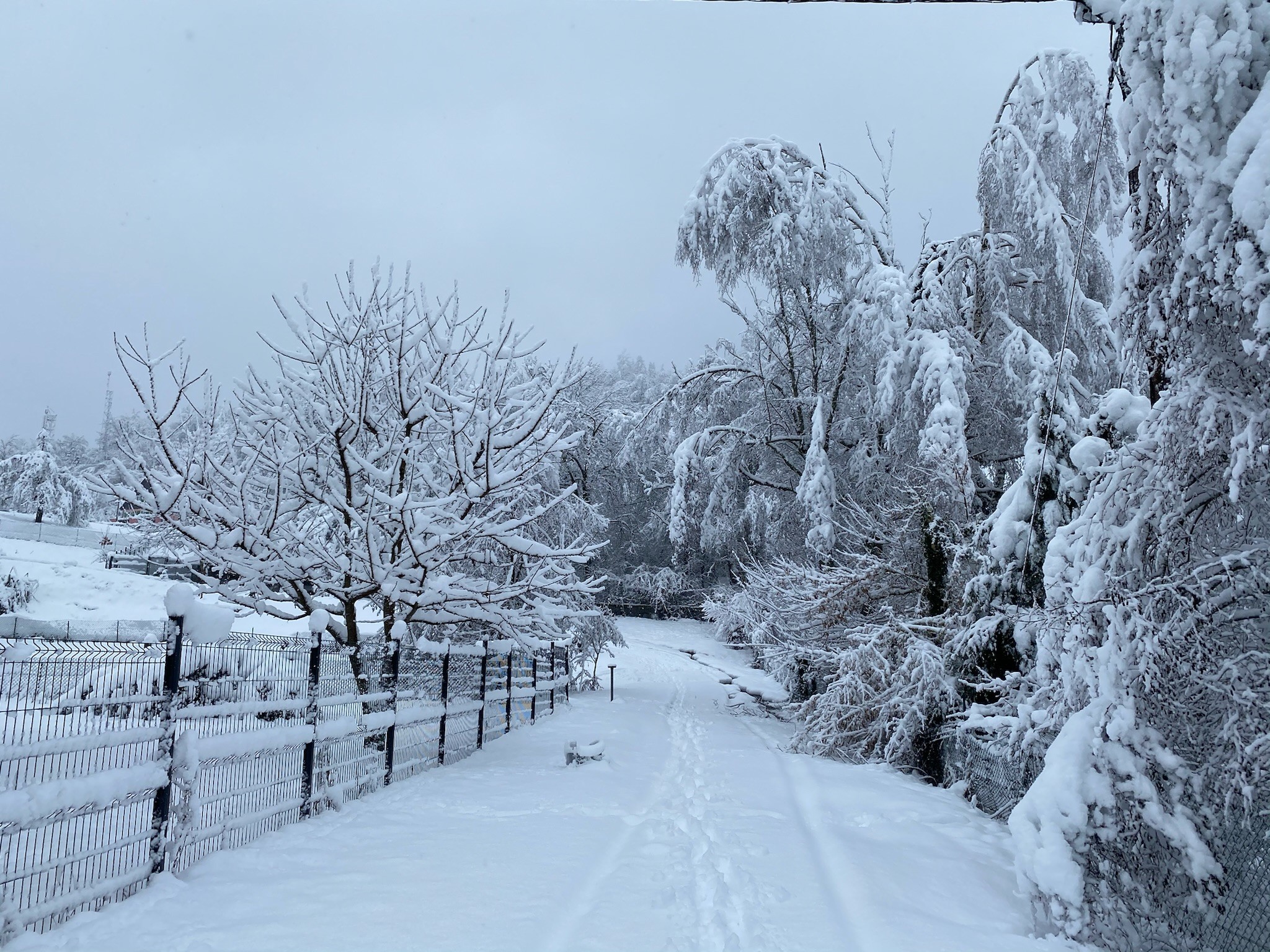 Photo n° 17 de la location