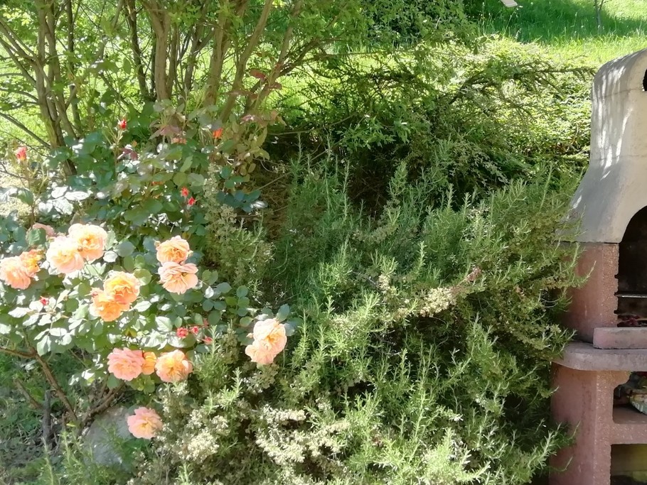 Barbecue à côté de la terrasse sud-ouest.