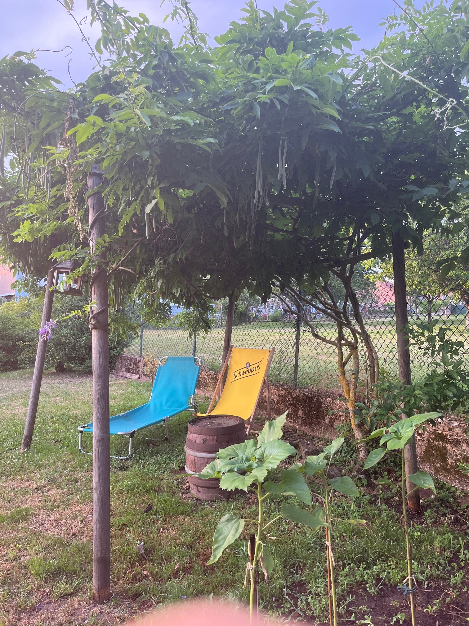 Photo n° 18 of the location