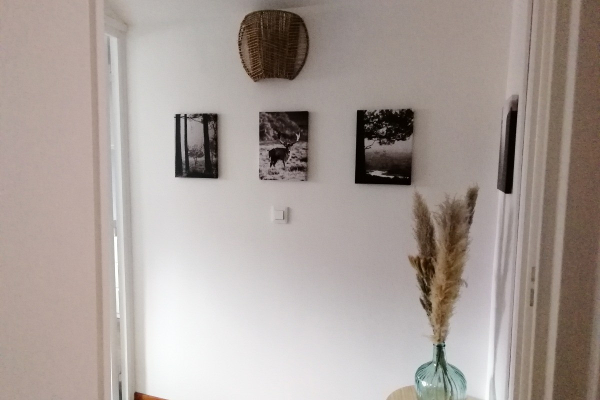 Photo n° 7 de la location