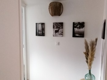 Photo n° 7 de la location