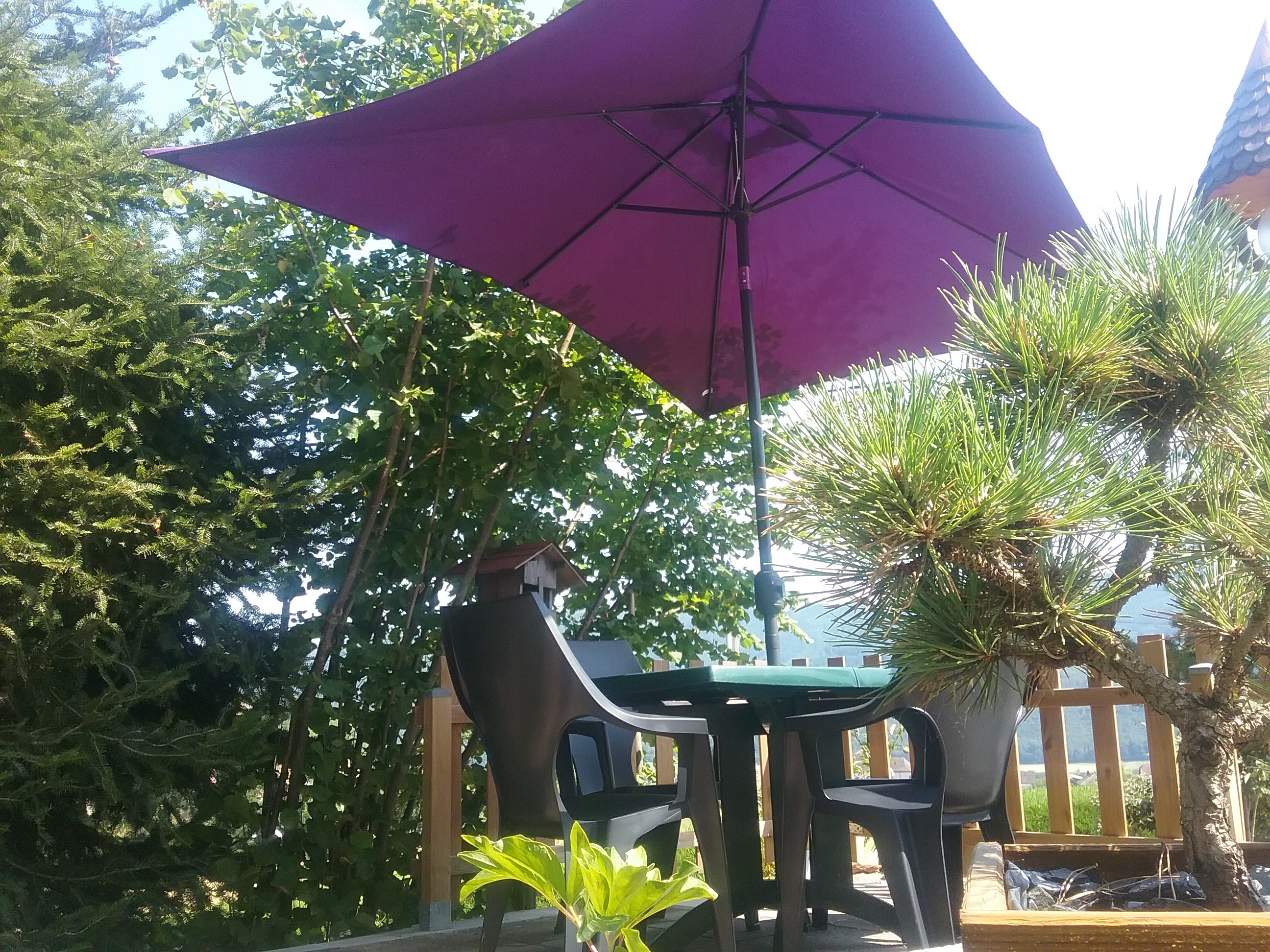 Photo n° 15 of the location