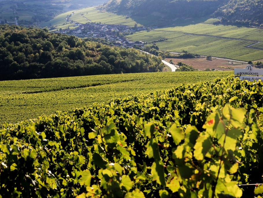 Photo n° 18 de la location