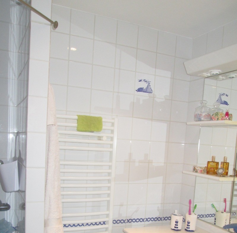 1 salle d'eau avec douche