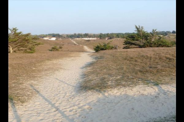 Photo n° 20 de la location