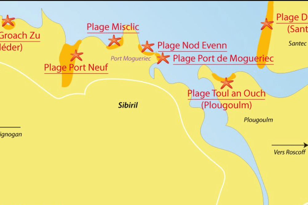Plages à proximité
