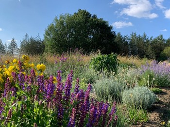 Les gîtes sur la colline - Montignac de Lauzun