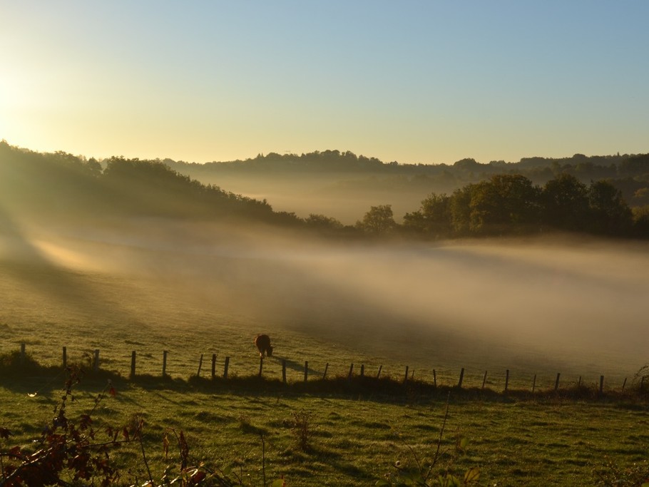 Vue matinale, calme, reposant.... un havre de paix