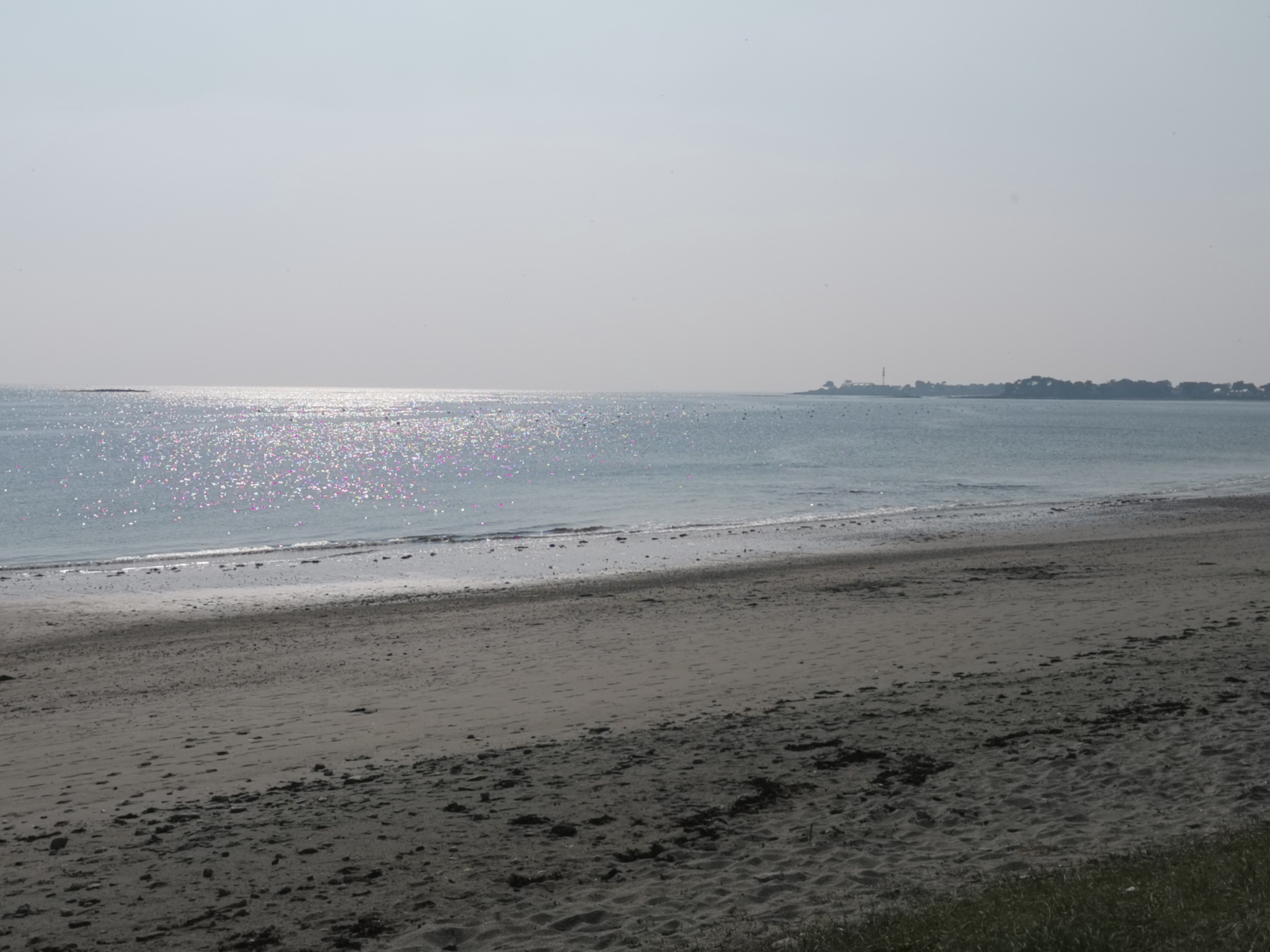 The Beach (March 2026)