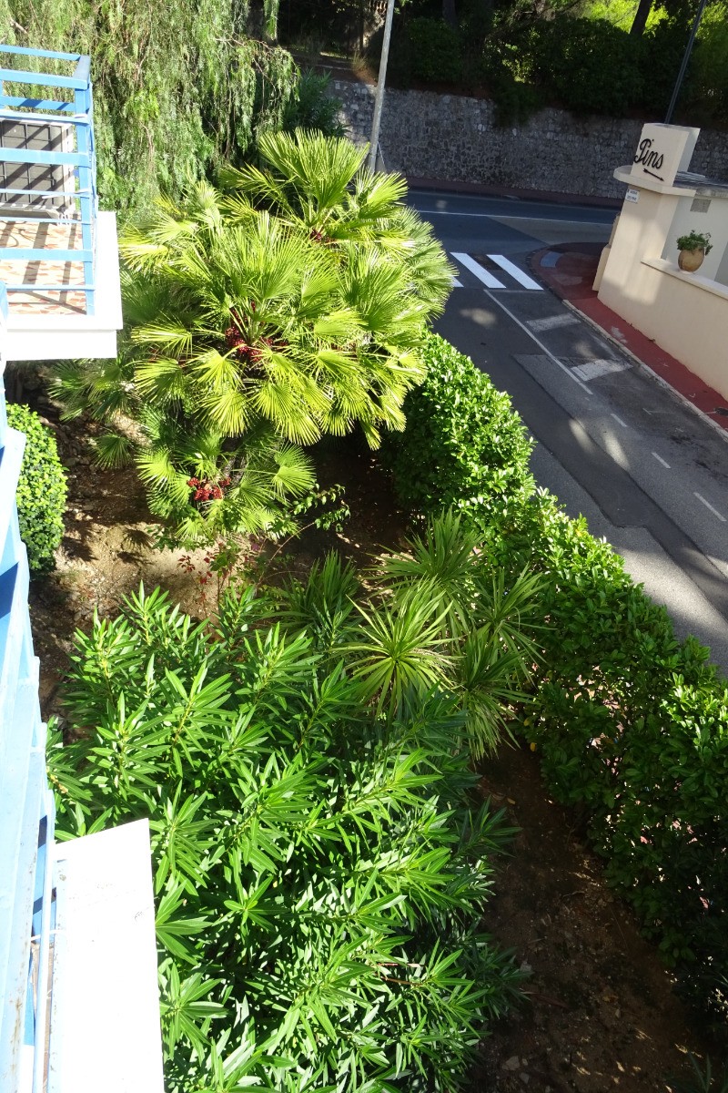 Vue côté rue