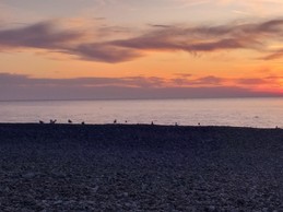 Image n° 2 de la location