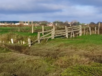 Les marais autour du moilin des loges - Marennes