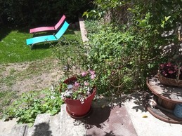 Votre espace extérieur, La Maison de Thalia, au cœur du village (proche Sisteron, Provence)