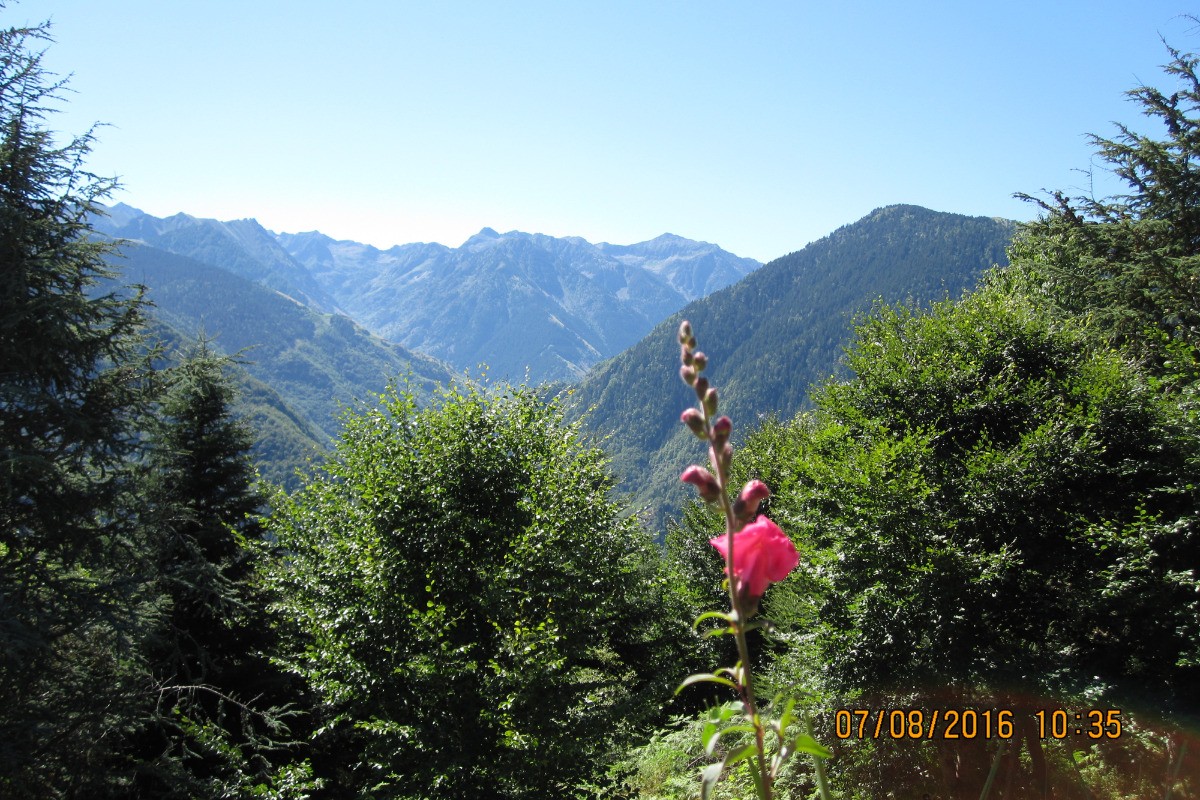 vue depuis le balcon