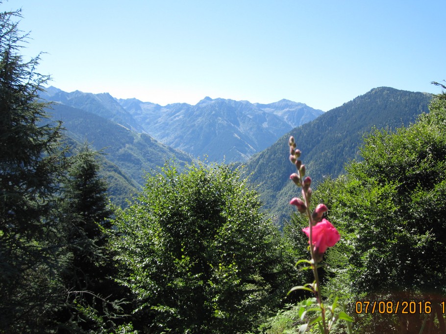vue depuis le balcon