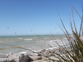 Les passionnés de  kite surf sur la plage de Wissant