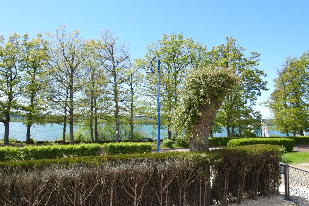 Photo n° 13 of the location
