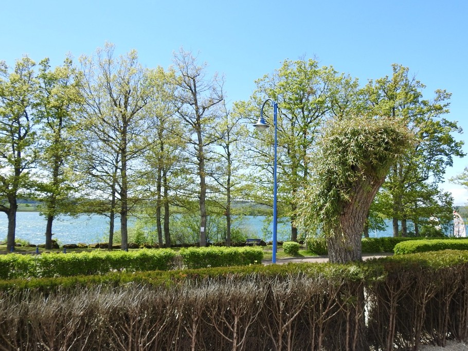 Photo n° 13 de la location