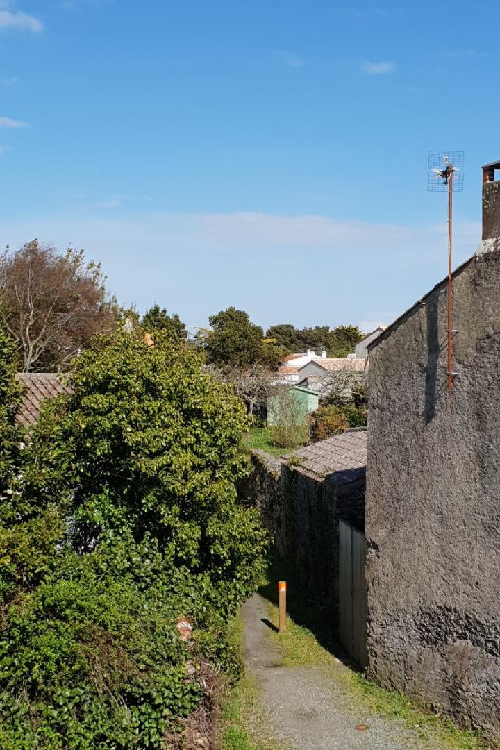 vue de la fenêtre de la chambre