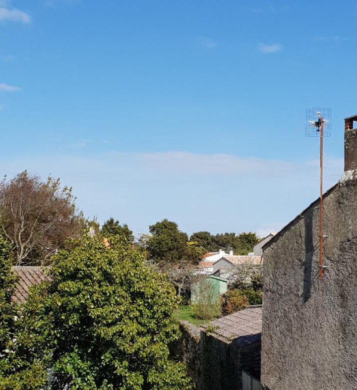 vue de la fenêtre de la chambre