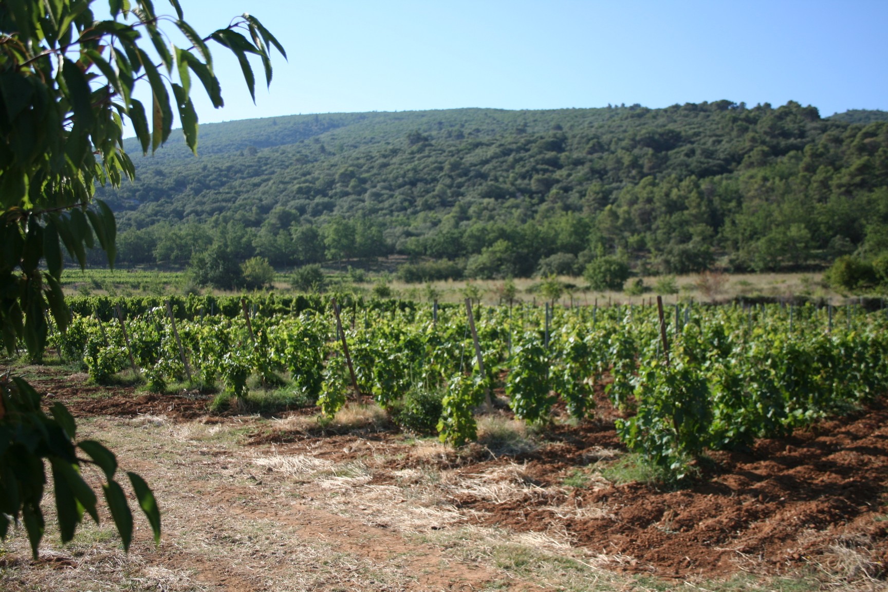 Photo n° 18 of the location