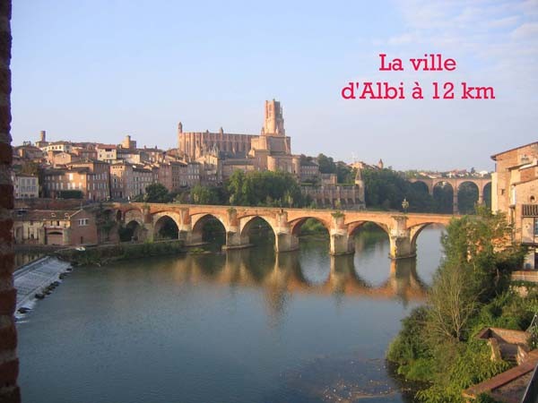 - Albi - Tarn -