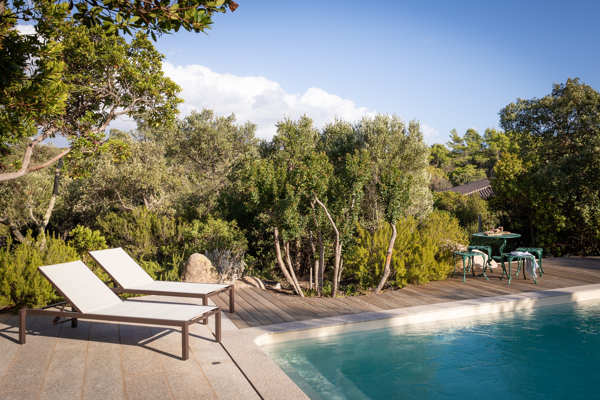Swimming pool and terrace