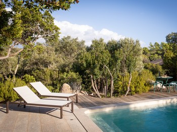 Swimming pool and terrace