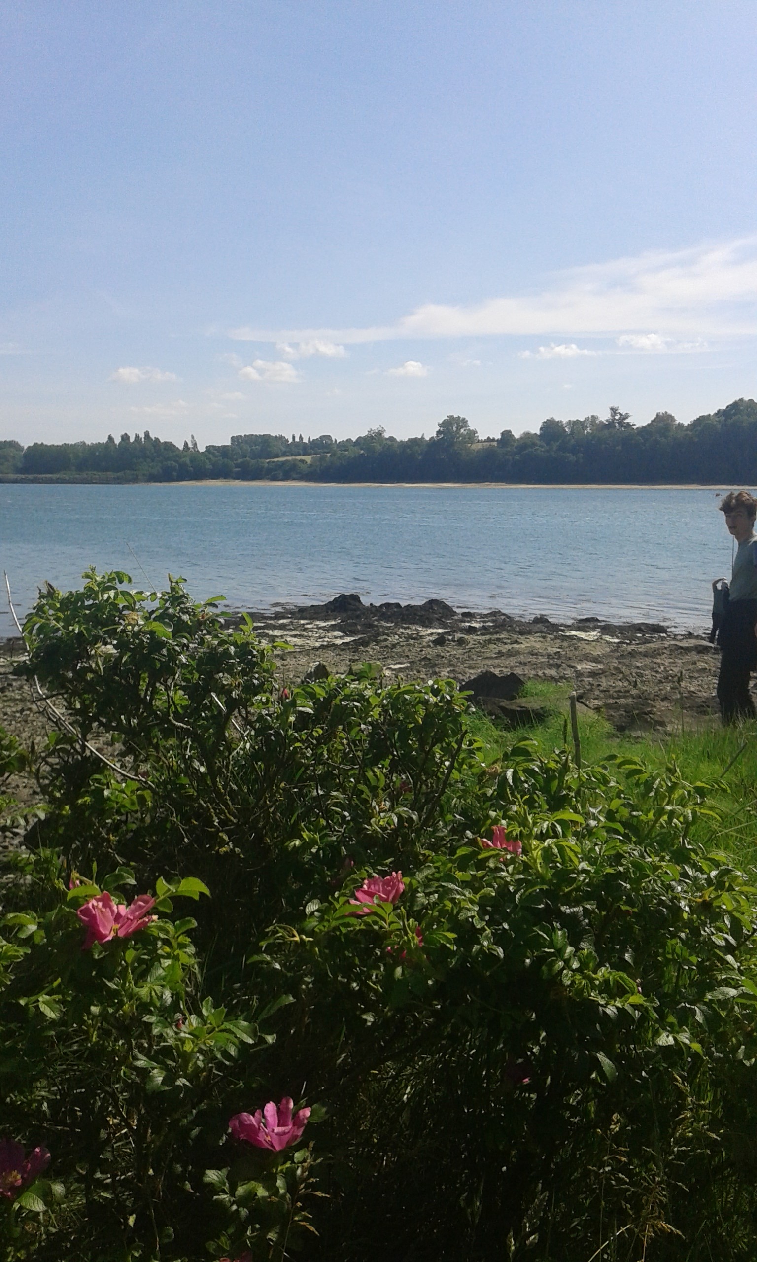 Photo n° 20 de la location