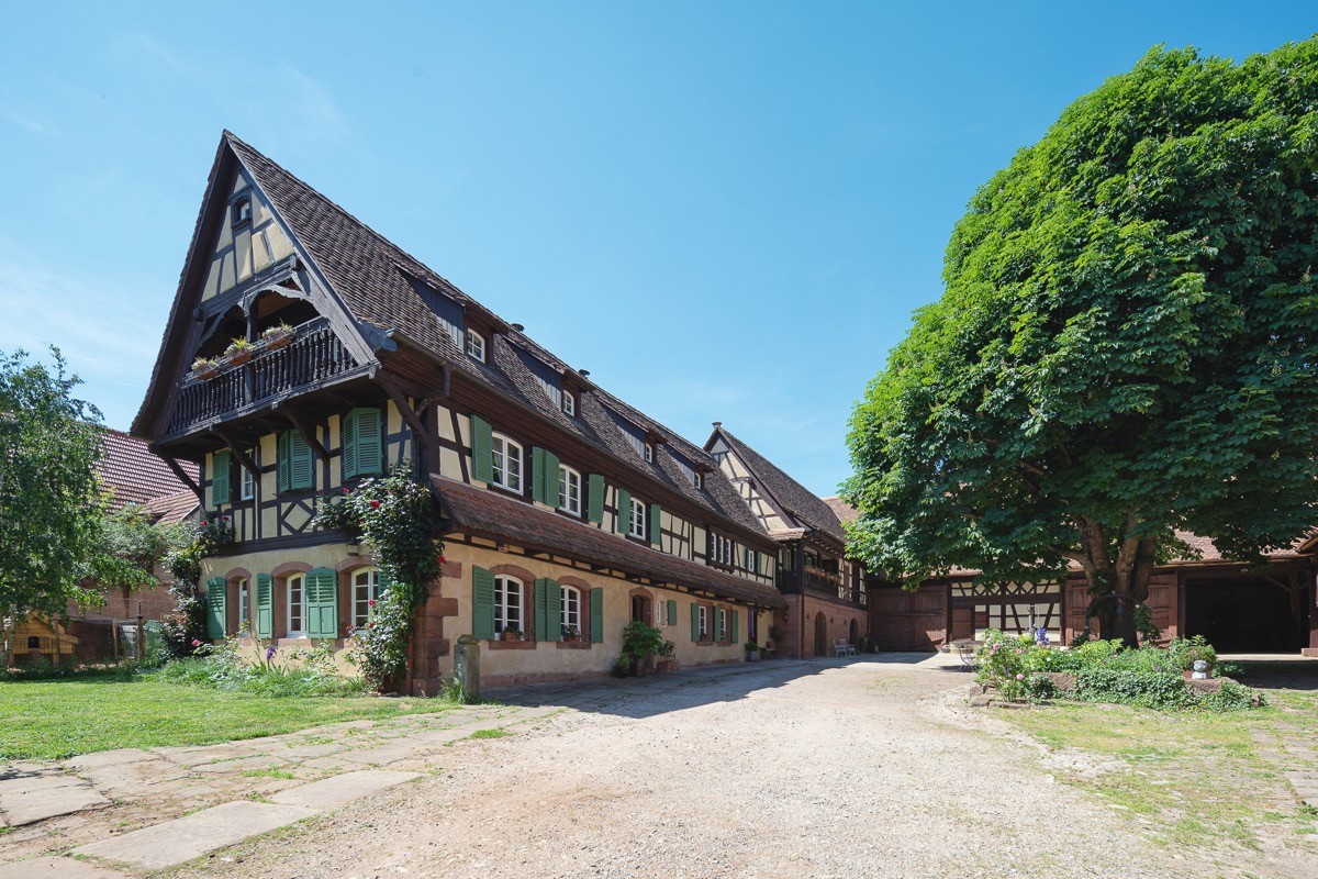 Photo n° 11 of the location