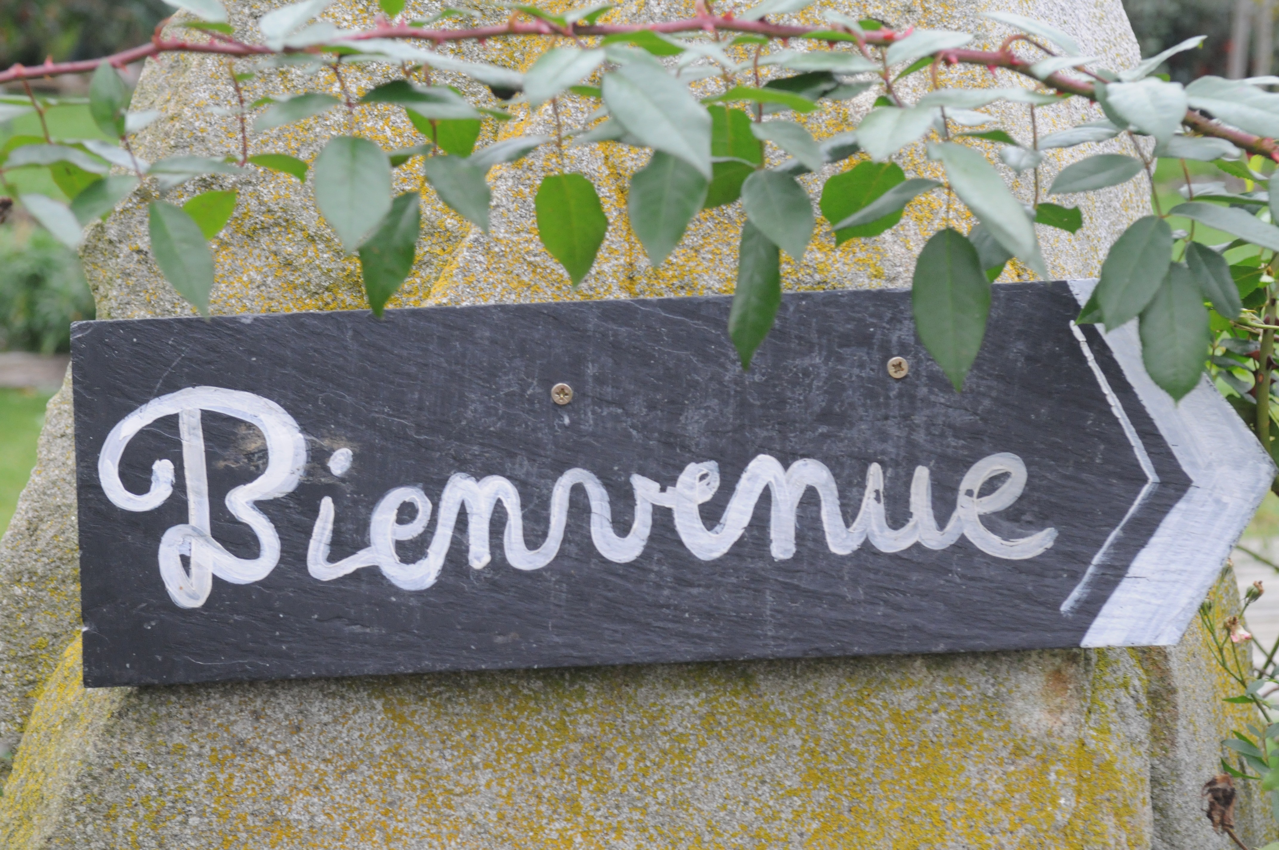 Accueil personnalisé dans notre gîte Saladelle