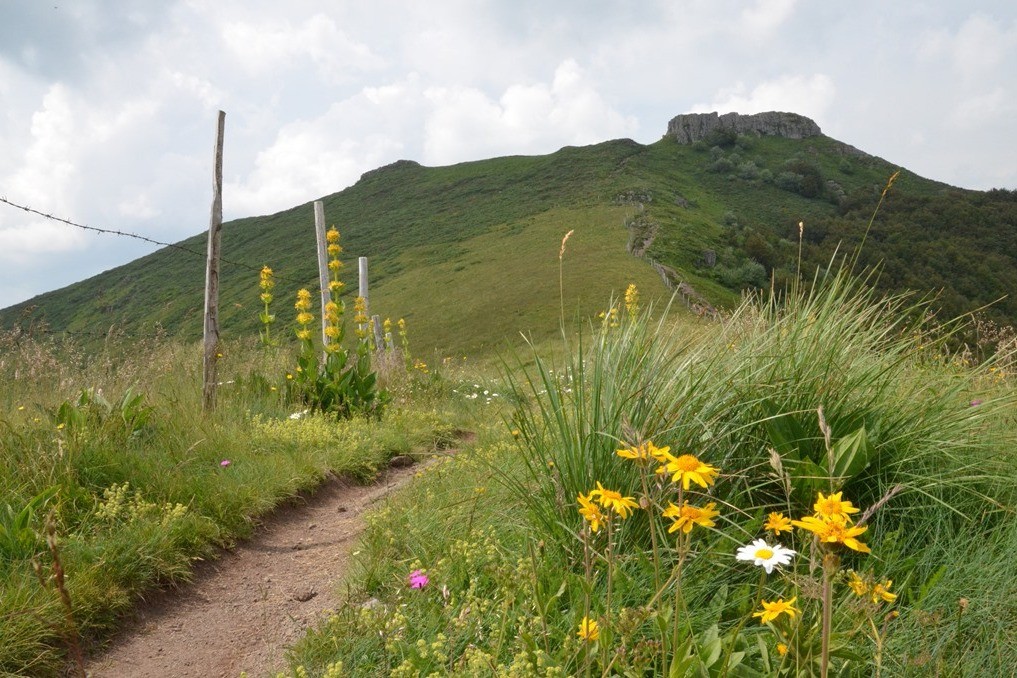 randonnées GR400 magnifique flore et faune
