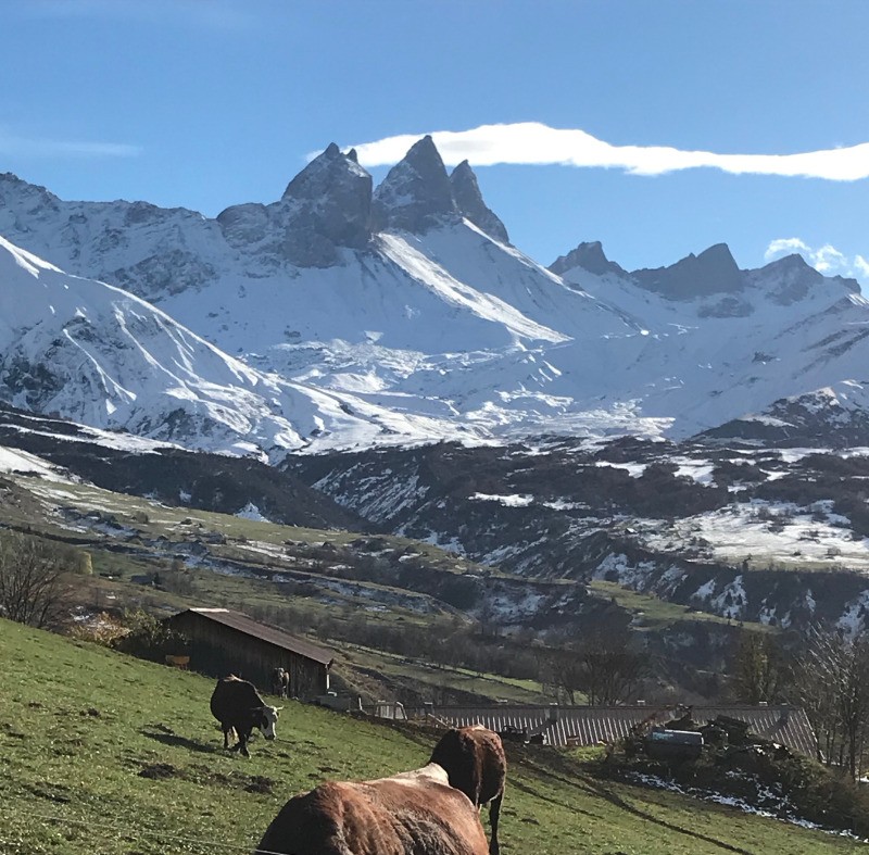 Photo n° 15 of the location